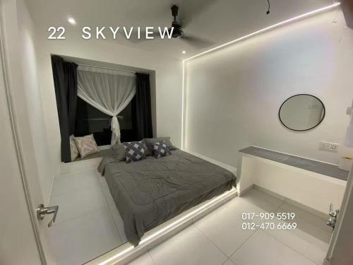 22 skyview