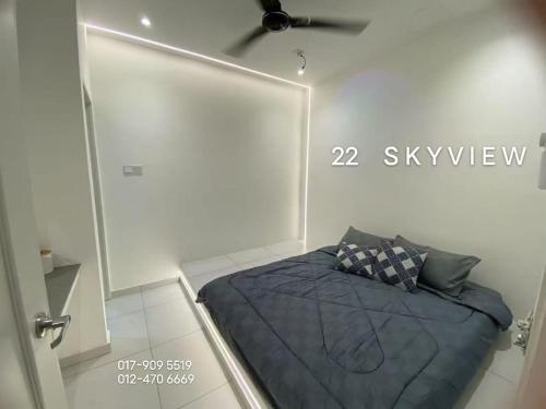22 skyview