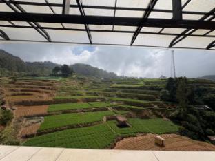 ooty