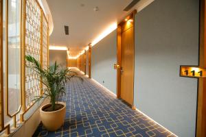 sapphire suites by arif castles