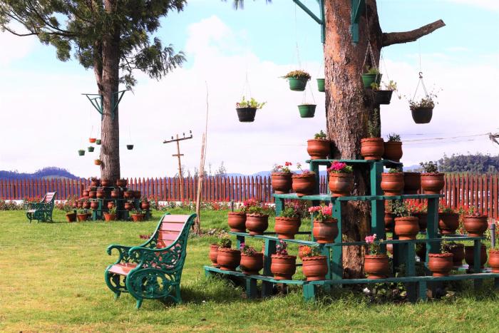 rock ooty heritage villa