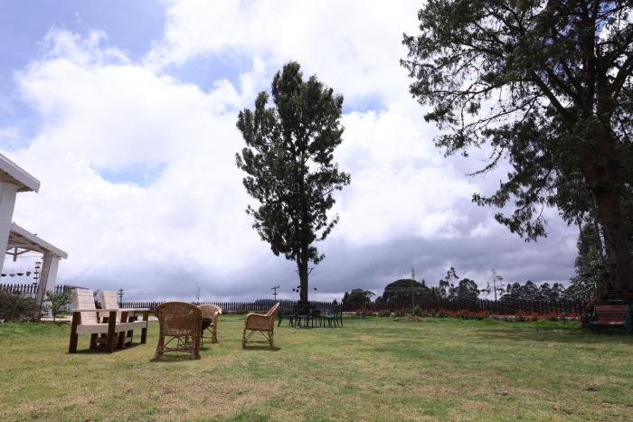 rock ooty heritage villa