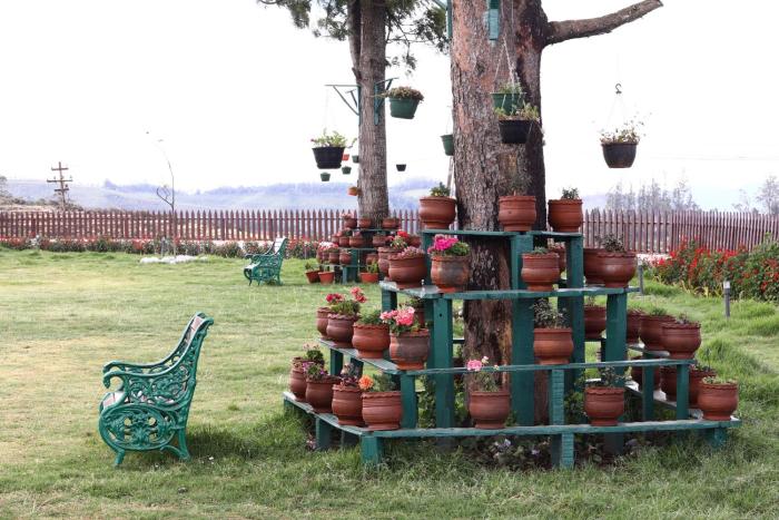 rock ooty heritage villa