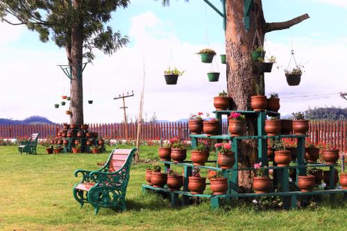 rock ooty heritage villa