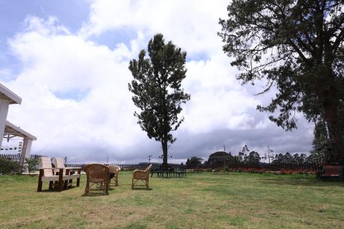 rock ooty heritage villa