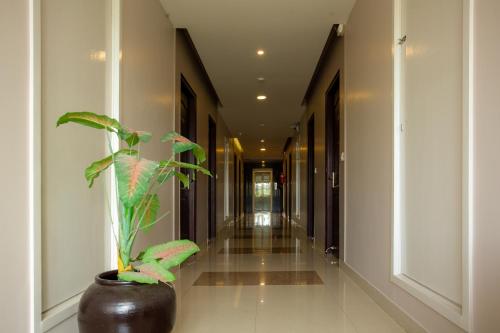 philomena hotel and apartment