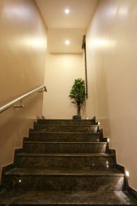 philomena hotel and apartment