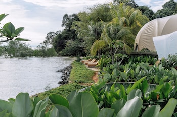 cocoon resort kuching