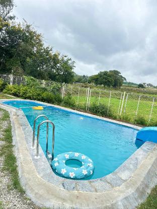 gable grove serene retreatcamping by homeyhuts