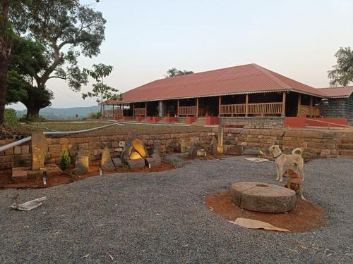 madhuvan retreat resort amba