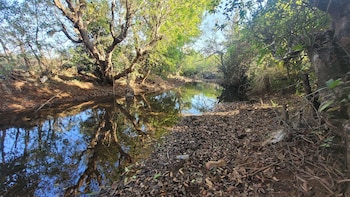 madhuvan retreat resort amba