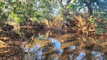 madhuvan retreat resort amba