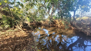 madhuvan retreat resort amba