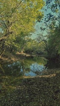 madhuvan retreat resort amba