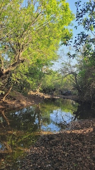 madhuvan retreat resort amba