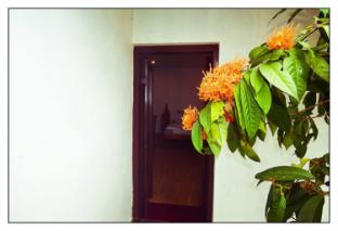 munroe inn homestay