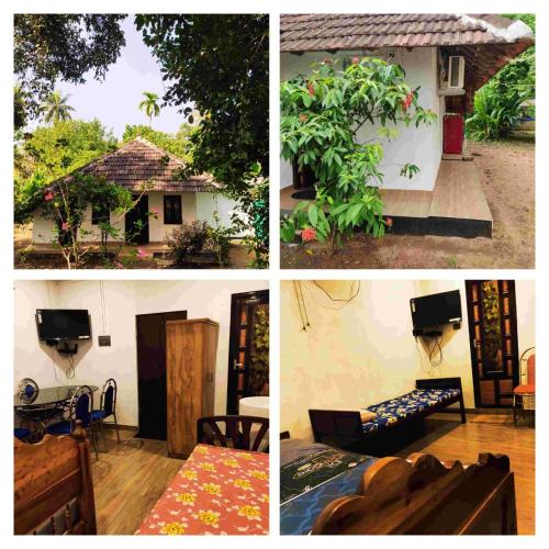 munroe inn homestay