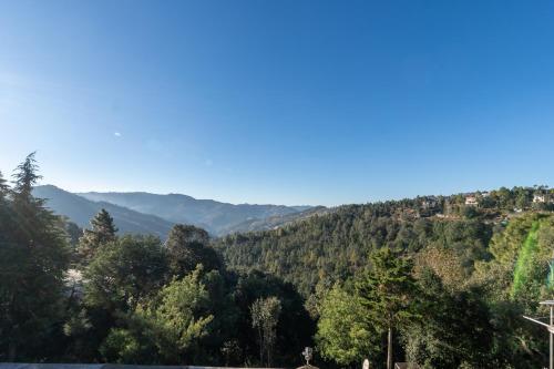 the golden castle hotels