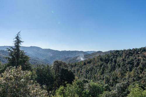 the golden castle hotels