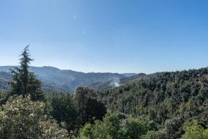 the golden castle hotels