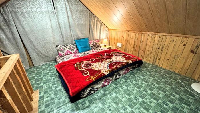 kasol