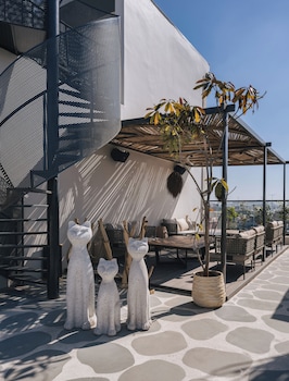 ava hotel chandigarh zirakpur