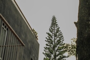 thavika silverwood residence yelagiri