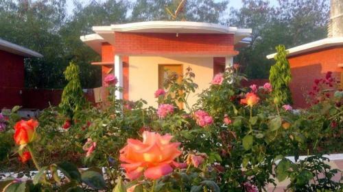 hotel shree krishna jungle resort