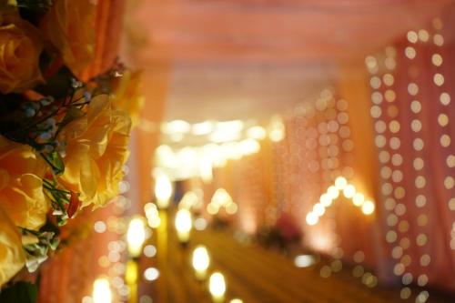 hotel shree krishna jungle resort