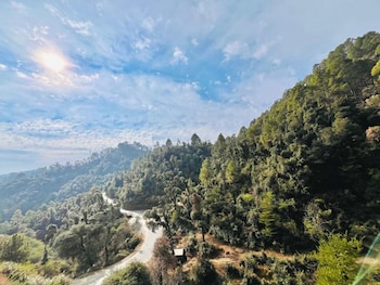 yashvi paradise shimla
