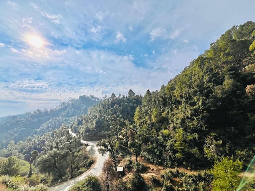 yashvi paradise shimla