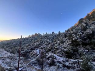 yashvi paradise shimla