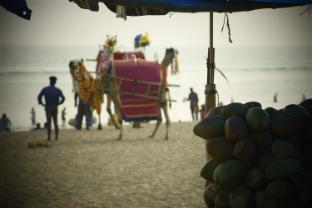 Sea Castle Hotel Cum Home Stay,,3 star