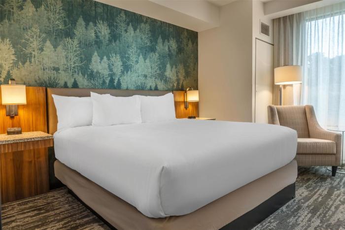 drury plaza hotel pigeon forge