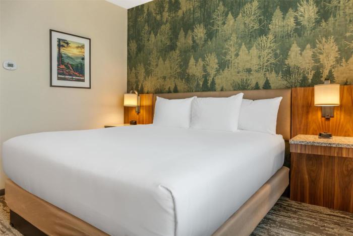 drury plaza hotel pigeon forge
