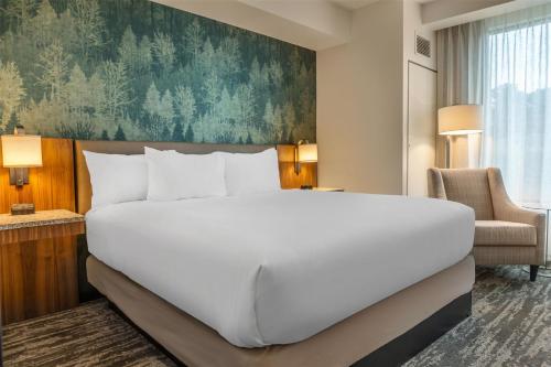 drury plaza hotel pigeon forge