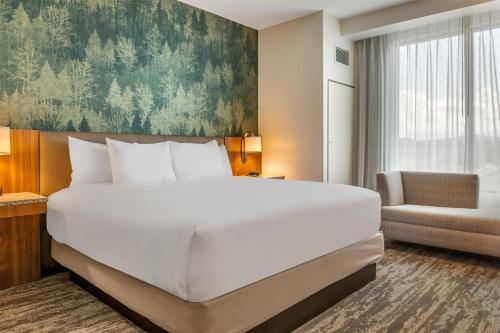 drury plaza hotel pigeon forge