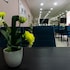 residencial lar do areeiro
