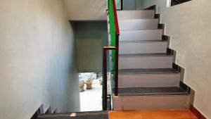 lill sparrow by the verdant escapes