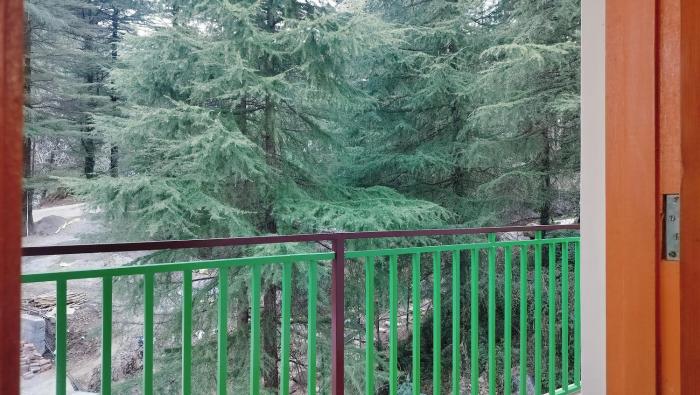 lill sparrow by the verdant escapes