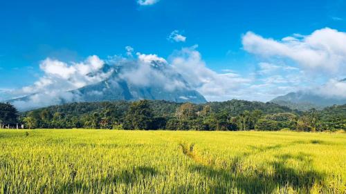 lhong khao chiang dao