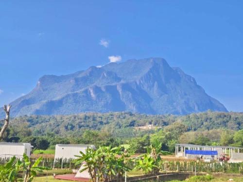 lhong khao chiang dao