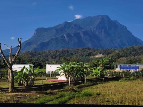 lhong khao chiang dao
