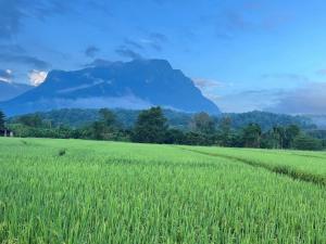 lhong khao chiang dao