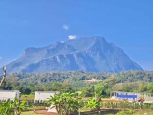 lhong khao chiang dao
