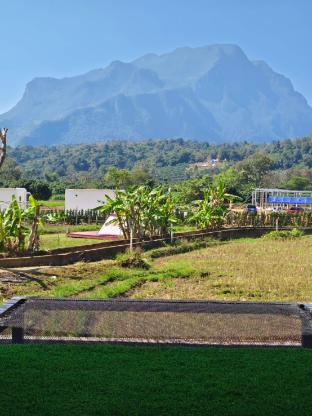 lhong khao chiang dao