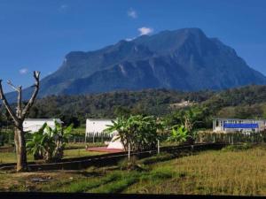 lhong khao chiang dao