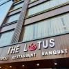 the lotus hotel