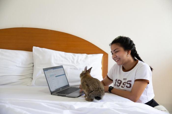 d haus ngamwongwan residence