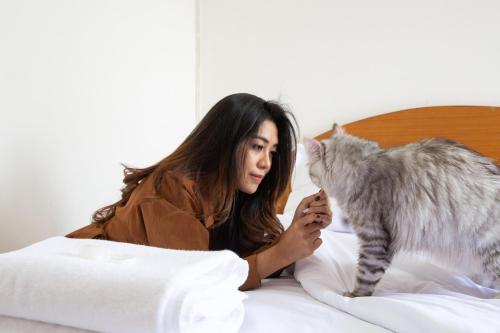 d haus ngamwongwan residence